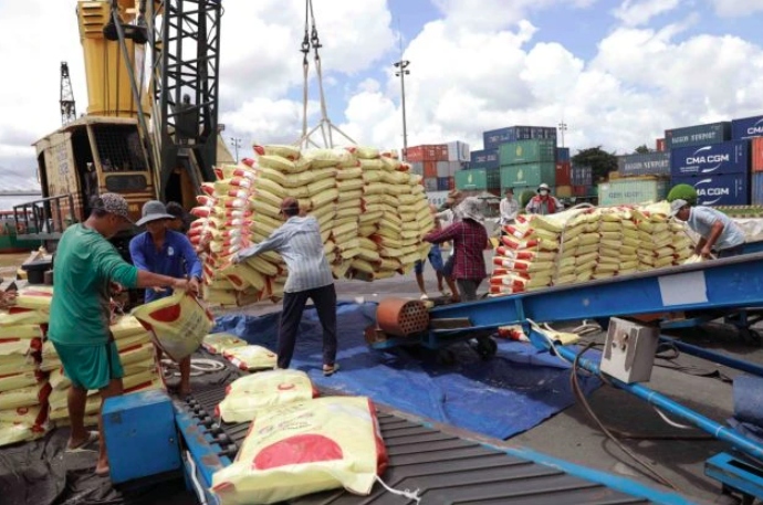 Philippine tax cut opens up new opportunities for Vietnamese rice exports